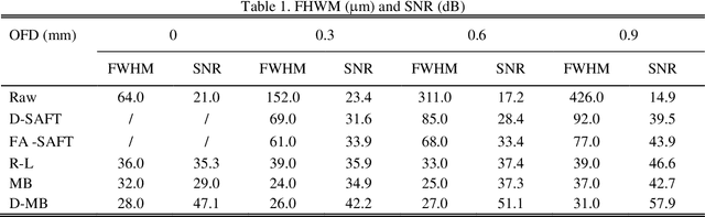 Figure 2 for Image enhancement in acoustic-resolution photoacoustic microscopy enabled by a novel directional algorithm