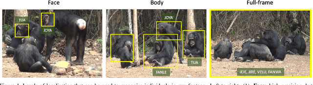 Figure 1 for Count, Crop and Recognise: Fine-Grained Recognition in the Wild