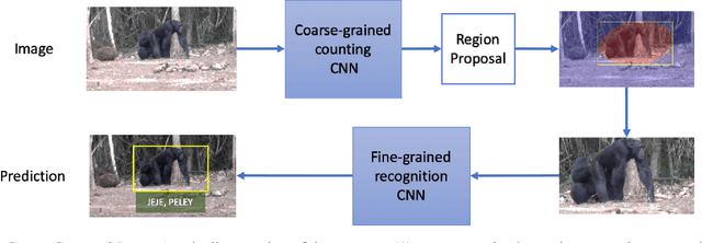 Figure 2 for Count, Crop and Recognise: Fine-Grained Recognition in the Wild