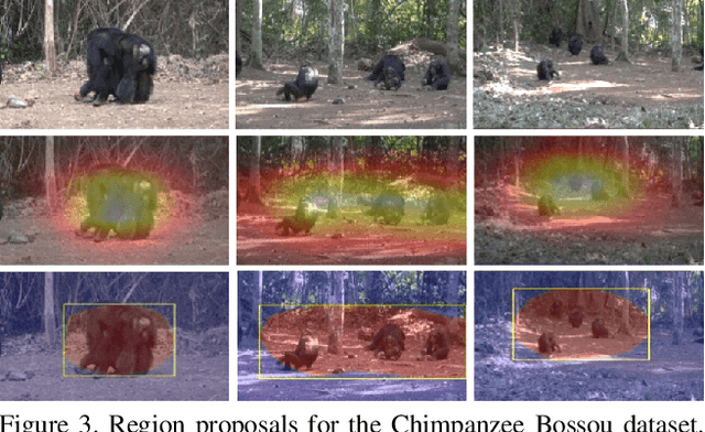 Figure 4 for Count, Crop and Recognise: Fine-Grained Recognition in the Wild