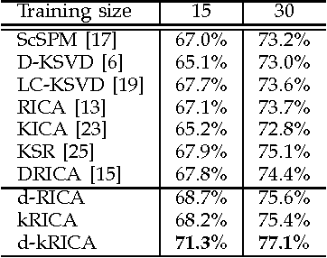 Figure 1 for Kernel Reconstruction ICA for Sparse Representation