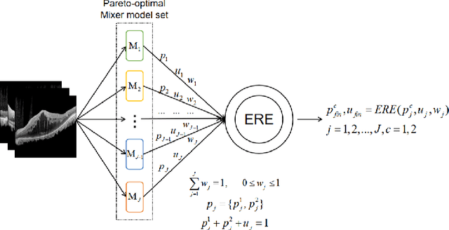 Figure 4 for AutoMO-Mixer: An automated multi-objective Mixer model for balanced, safe and robust prediction in medicine