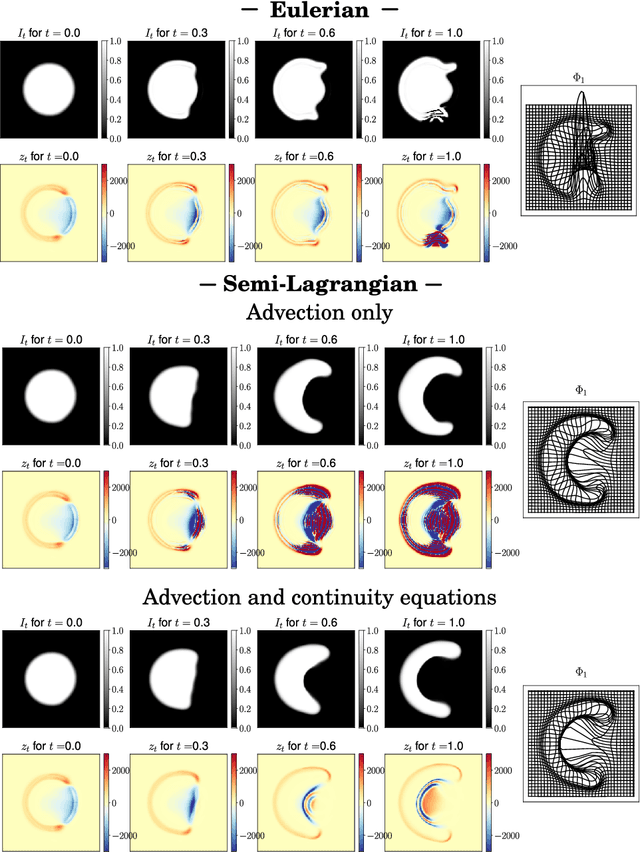 Figure 1 for Metamorphic image registration using a semi-Lagrangian scheme