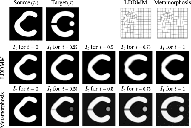 Figure 2 for Metamorphic image registration using a semi-Lagrangian scheme