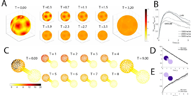 Figure 4 for Neuromorphic scaling advantages for energy-efficient random walk computation