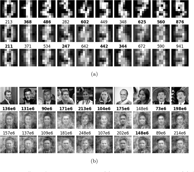 Figure 3 for Shifted Randomized Singular Value Decomposition