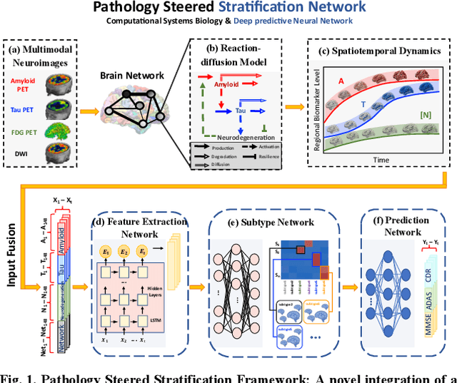 Figure 1 for Pathology Steered Stratification Network for Subtype Identification in Alzheimer's Disease