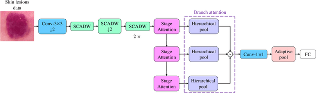 Figure 1 for HierAttn: Effectively Learn Representations from Stage Attention and Branch Attention for Skin Lesions Diagnosis