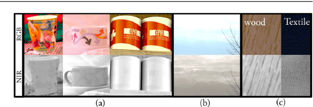 Figure 3 for Incorporating Near-Infrared Information into Semantic Image Segmentation