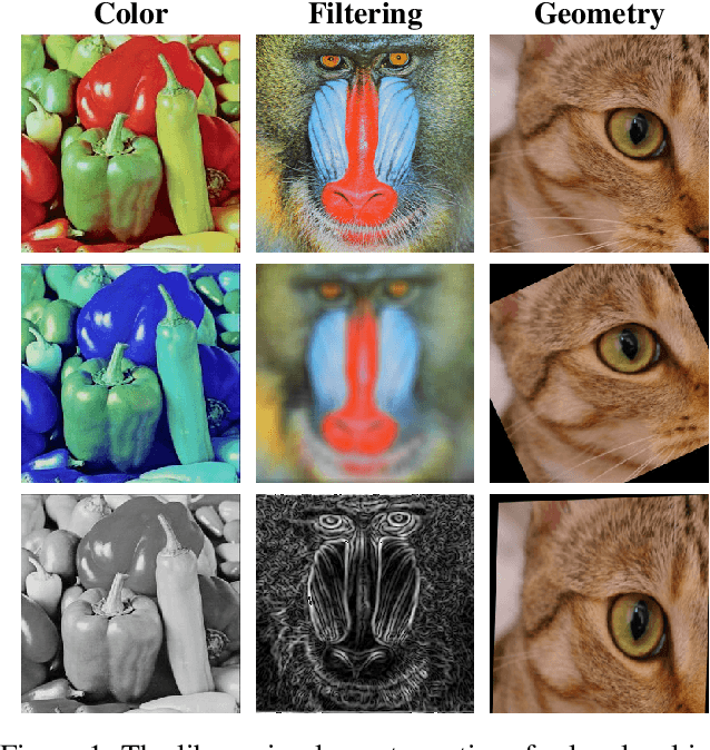 Figure 1 for A survey on Kornia: an Open Source Differentiable Computer Vision Library for PyTorch