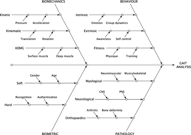 Figure 1 for Robust Analytics for Video-Based Gait Biometrics