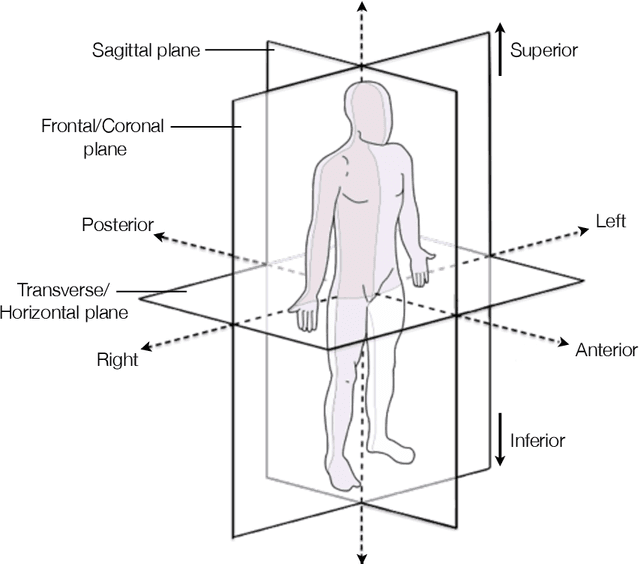 Figure 4 for Robust Analytics for Video-Based Gait Biometrics