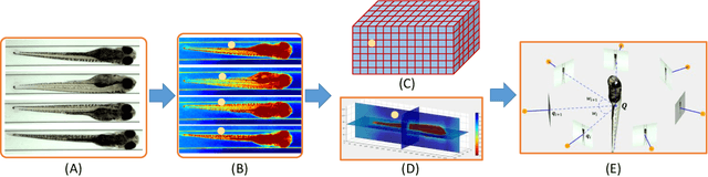 Figure 1 for Probabilistic Inference for Camera Calibration in Light Microscopy under Circular Motion