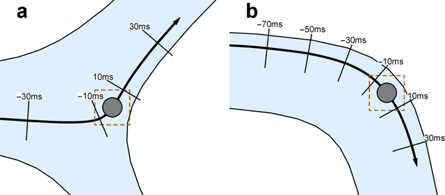 Figure 1 for Identifying Vessel Branching from Fluid Stresses on Microscopic Robots