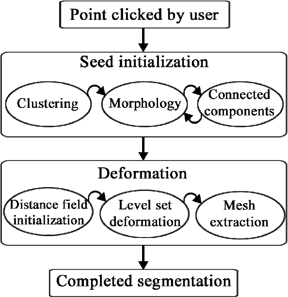 Figure 1 for A Fast, Semi-Automatic Brain Structure Segmentation Algorithm for Magnetic Resonance Imaging