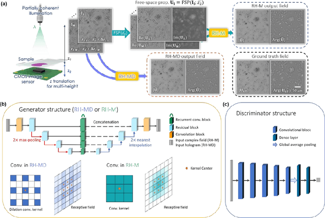 Figure 1 for Holographic image reconstruction with phase recovery and autofocusing using recurrent neural networks