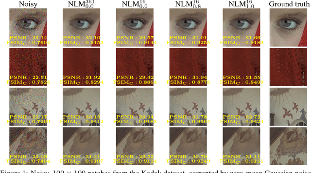 Figure 1 for On Nearest Neighbors in Non Local Means Denoising