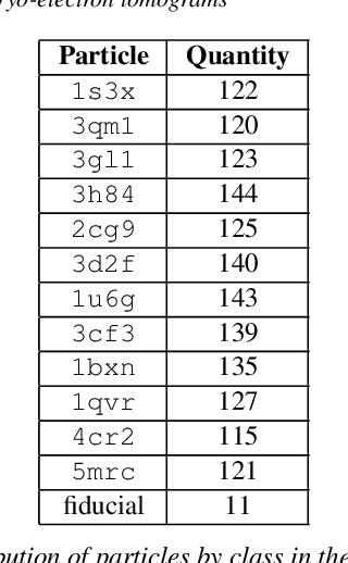 Figure 4 for SHREC 2021: Classification in cryo-electron tomograms