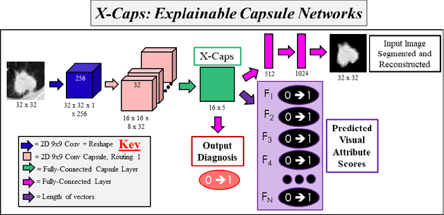 Figure 3 for Encoding High-Level Visual Attributes in Capsules for Explainable Medical Diagnoses