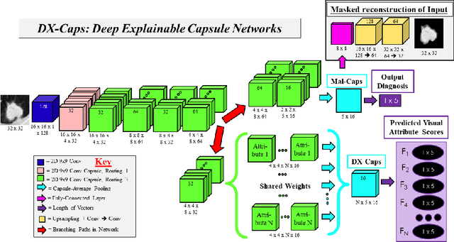 Figure 4 for Encoding High-Level Visual Attributes in Capsules for Explainable Medical Diagnoses