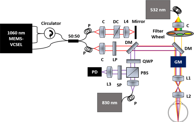 Figure 1 for In vivo functional and structural retina imaging using multimodal photoacoustic remote sensing microscopy and optical coherence tomography