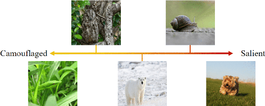 Figure 1 for Uncertainty-aware Joint Salient Object and Camouflaged Object Detection