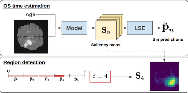 Figure 1 for Post-hoc Overall Survival Time Prediction from Brain MRI