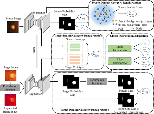 Figure 1 for Unsupervised Domain Adaptive Fundus Image Segmentation with Category-level Regularization