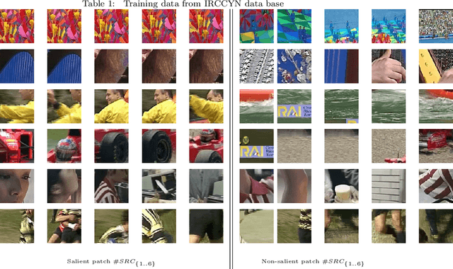 Figure 2 for Deep Learning for Saliency Prediction in Natural Video