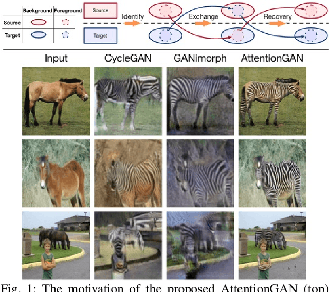 Figure 1 for AttentionGAN: Unpaired Image-to-Image Translation using Attention-Guided Generative Adversarial Networks