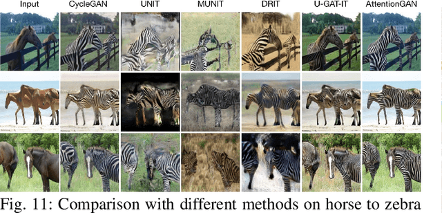 Figure 3 for AttentionGAN: Unpaired Image-to-Image Translation using Attention-Guided Generative Adversarial Networks