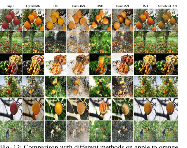 Figure 4 for AttentionGAN: Unpaired Image-to-Image Translation using Attention-Guided Generative Adversarial Networks