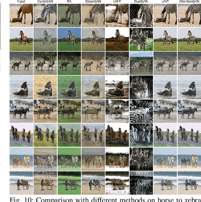 Figure 2 for AttentionGAN: Unpaired Image-to-Image Translation using Attention-Guided Generative Adversarial Networks