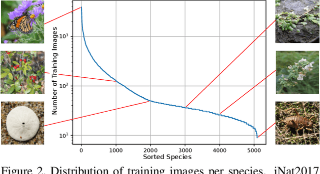 Figure 3 for The iNaturalist Species Classification and Detection Dataset