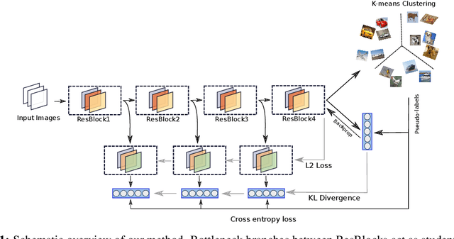Figure 1 for Domain-Agnostic Clustering with Self-Distillation