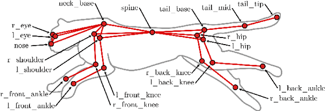 Figure 3 for AcinoSet: A 3D Pose Estimation Dataset and Baseline Models for Cheetahs in the Wild