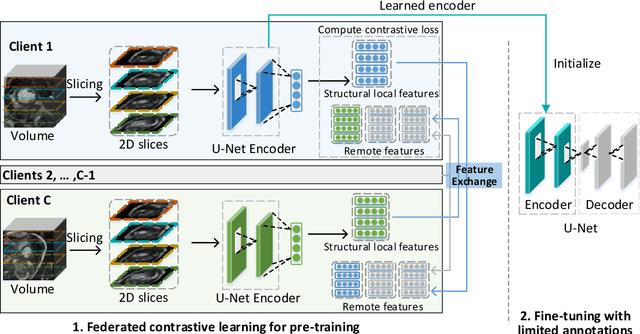 Figure 1 for Distributed Contrastive Learning for Medical Image Segmentation