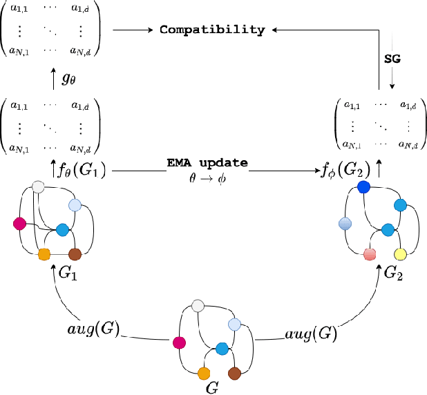 Figure 1 for Self-supervised Graph Neural Networks without explicit negative sampling