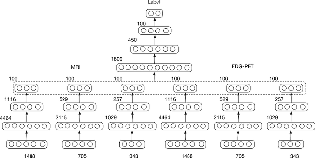 Figure 3 for Multimodal and Multiscale Deep Neural Networks for the Early Diagnosis of Alzheimer's Disease using structural MR and FDG-PET images