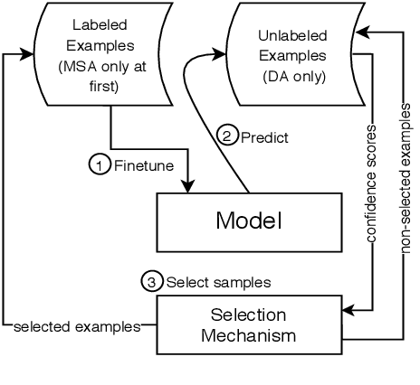 Figure 1 for Self-Training Pre-Trained Language Models for Zero- and Few-Shot Multi-Dialectal Arabic Sequence Labeling