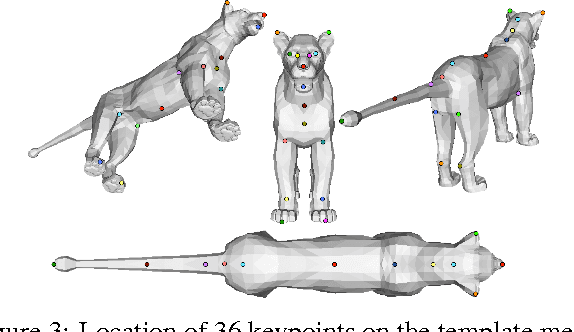 Figure 2 for 3D Menagerie: Modeling the 3D shape and pose of animals