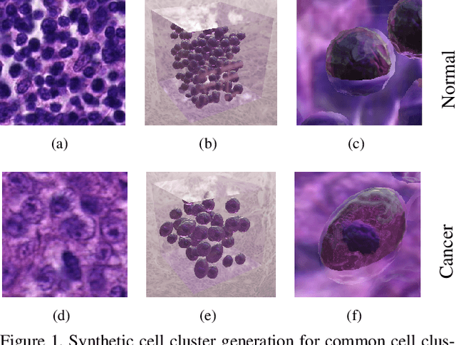 Figure 1 for Synthetic Generation of Three-Dimensional Cancer Cell Models from Histopathological Images
