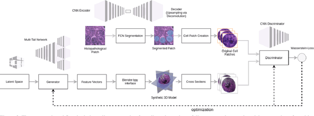 Figure 3 for Synthetic Generation of Three-Dimensional Cancer Cell Models from Histopathological Images