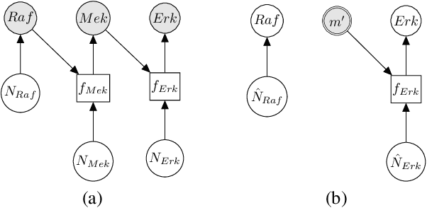 Figure 1 for Leveraging Structured Biological Knowledge for Counterfactual Inference: a Case Study of Viral Pathogenesis