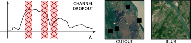 Figure 3 for Self-supervised learning for joint SAR and multispectral land cover classification