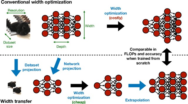 Figure 1 for Width Transfer: On the variance of Width Optimization