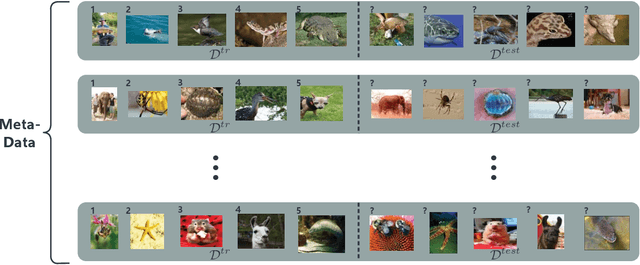 Figure 1 for Decoder Choice Network for Meta-Learning