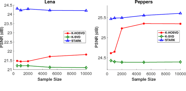 Figure 3 for STARK: Structured Dictionary Learning Through Rank-one Tensor Recovery