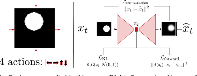 Figure 1 for Symmetry-Based Disentangled Representation Learning requires Interaction with Environments