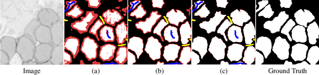 Figure 1 for Scribble2Label: Scribble-Supervised Cell Segmentation via Self-Generating Pseudo-Labels with Consistency